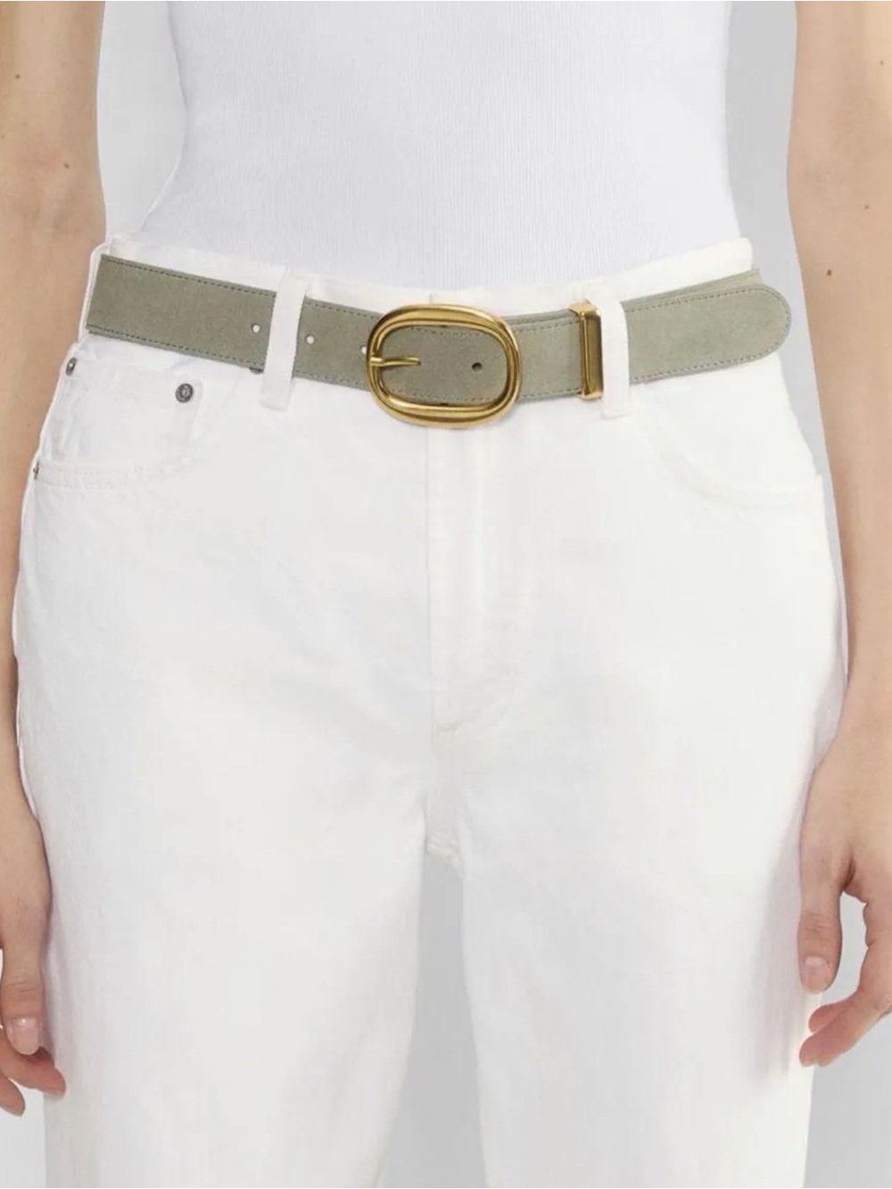 Aritzia Lifetime Solid Brass Suede Wide Belt